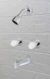 2-Handle Shower Faucet